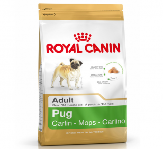 Royal Canin Pug Adult 1.5 kg Köpek Maması kullananlar yorumlar